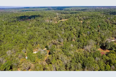 105 Gourd Creek Drive, Huntsville, TX 77340 - Photo 13