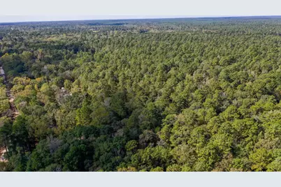 105 Gourd Creek Drive, Huntsville, TX 77340 - Photo 17