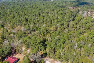 105 Gourd Creek Dr, Huntsville, TX 77340 - Photo 1