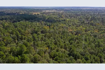 105 Gourd Creek Drive, Huntsville, TX 77340 - Photo 7