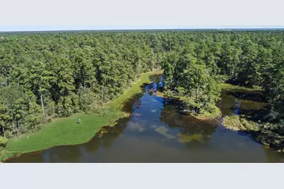 27918 Hansons Court, Spring, TX 77386 - Photo 5