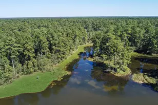 27918 Hansons Ct, Spring, TX 77386 - Photo 5