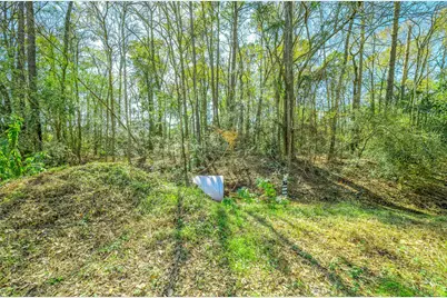 Lots 22-A - 26 Holly Springs Dr, Conroe, TX 77302 - Photo 17