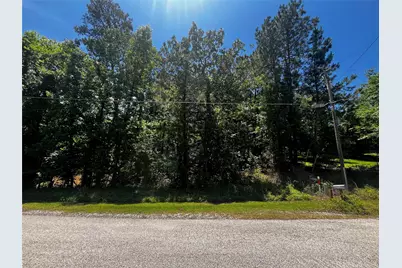 0 Hickory Ridge Drive, Coldspring, TX 77331 - Photo 3