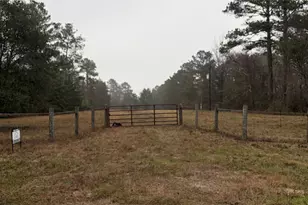 6131 Fm-1374, New Waverly, TX 77358 - Photo 1