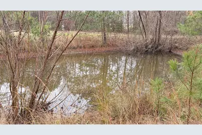 6131 Fm-1374, New Waverly, TX 77358 - Photo 9