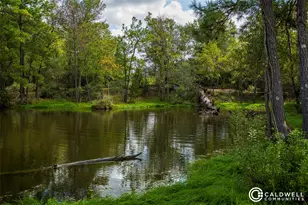 14233 Juniper Breeze Ct, Willis, TX 77318 - Photo 43