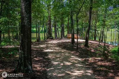 14233 Juniper Breeze Court, Willis, TX 77318 - Photo 41