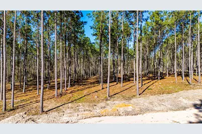 Lot 13 Big Buck Drive, Moscow, TX 75960 - Photo 9