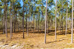 Lot 13 Big Buck Dr, Moscow, TX 75960 - Photo 1