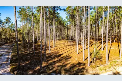 Lot 13 Big Buck Drive, Moscow, TX 75960 - Photo 7