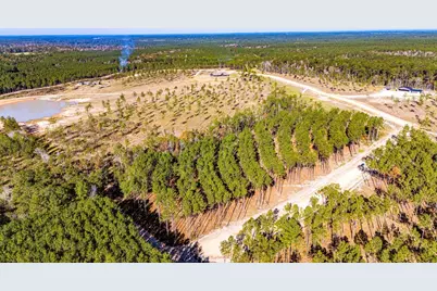 Lot 13 Big Buck Drive, Moscow, TX 75960 - Photo 5