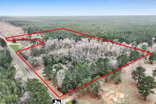 Tbd Fm 1012, Newton, TX 75966 - Photo 1