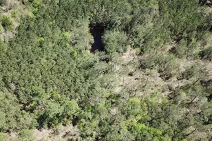 00000 Langham, Kountze, TX 77625 - Photo 1