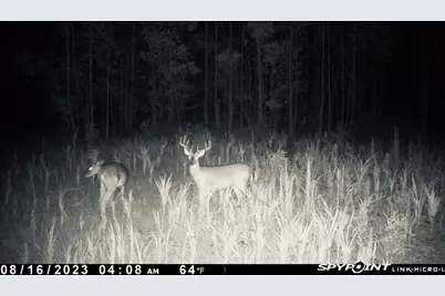 00000 Langham, Kountze, TX 77625 - Photo 11