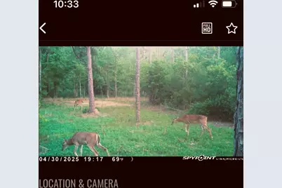 00000 Langham, Kountze, TX 77625 - Photo 9