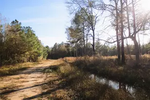 12 Acres Off W Relza Rd, Splendora, TX 77372 - Photo 5