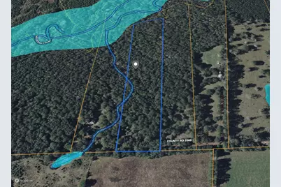 Tbd County Road 3568, Woodville, TX 75979 - Photo 9