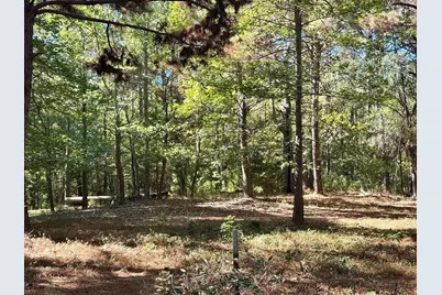 Tbd County Road 3568, Woodville, TX 75979 - Photo 5