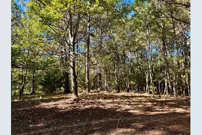 Tbd County Road 3568, Woodville, TX 75979 - Photo 33