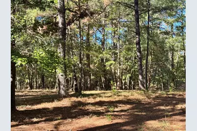 Tbd County Road 3568, Woodville, TX 75979 - Photo 19