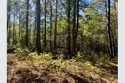 Tbd County Road 3568, Woodville, TX 75979 - Photo 25