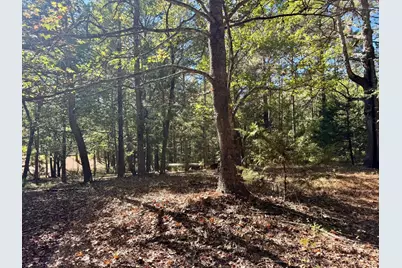 Tbd County Road 3568, Woodville, TX 75979 - Photo 31