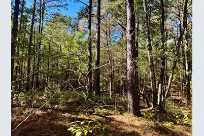 Tbd County Road 3568, Woodville, TX 75979 - Photo 27