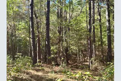 Tbd County Road 3568, Woodville, TX 75979 - Photo 23