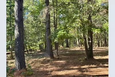 Tbd County Road 3568, Woodville, TX 75979 - Photo 17