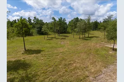 01 County Road 3375, Lovelady, TX 75851 - Photo 3