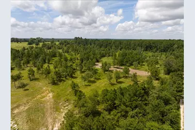 01 County Road 3375, Lovelady, TX 75851 - Photo 5