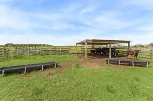 3850 Fm 2917 Rd, Alvin, TX 77511 - Photo 29