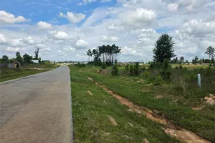 2321 Rd 5836, Cleveland, TX 77327 - Photo 3