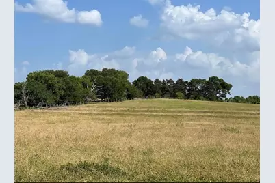 0000 Fm 149 W, Anderson, TX 77830 - Photo 3