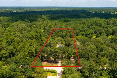 7273 Forest Hills Drive, Montgomery, TX 77316 - Photo 47