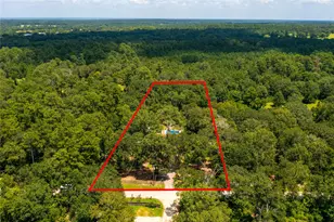 7273 Forest Hills Dr, Montgomery, TX 77316 - Photo 47