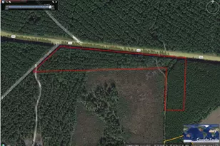 Tbd Fm 943, Livingston, TX 77351 - Photo 1