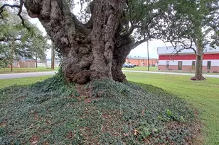 700 Wesley Dr Dr, Clute, TX 77531 - Photo 25