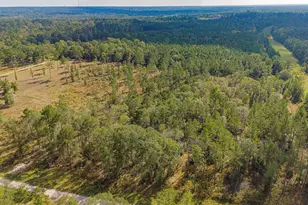 922 Rolling Pnes Dr, Livingston, TX 77351 - Photo 1