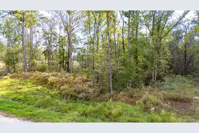 922 Rolling Pines Drive, Livingston, TX 77351 - Photo 11