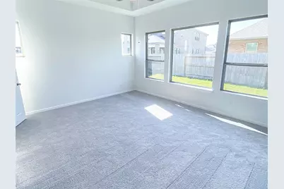 2806 Ametrine Drive, Iowa Colony, TX 77583 - Photo 21