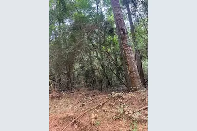 000 Camp Seale Rd, Livingston, TX 77351 - Photo 5