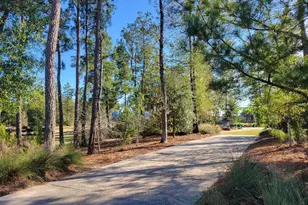 17463 Vino Vines Ln, Conroe, TX 77302 - Photo 39