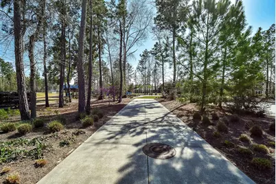 17463 Vino Vines Lane, Conroe, TX 77302 - Photo 45