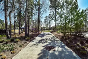 17463 Vino Vines Ln, Conroe, TX 77302 - Photo 45