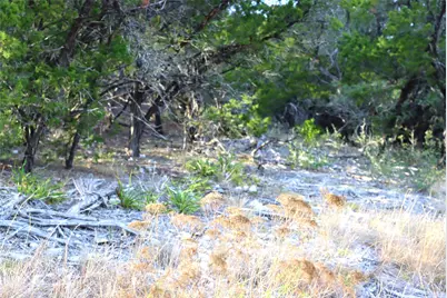 000 Private Road 1748 Road, Mico, TX 78056 - Photo 11