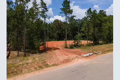 21316 Monarch Drive, Montgomery, TX 77316 - Photo 3