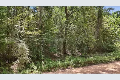 0 Josephine Road, Livingston, TX 77351 - Photo 15