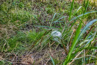 3208 W State Highway 21, Bryan, TX 77803 - Photo 13